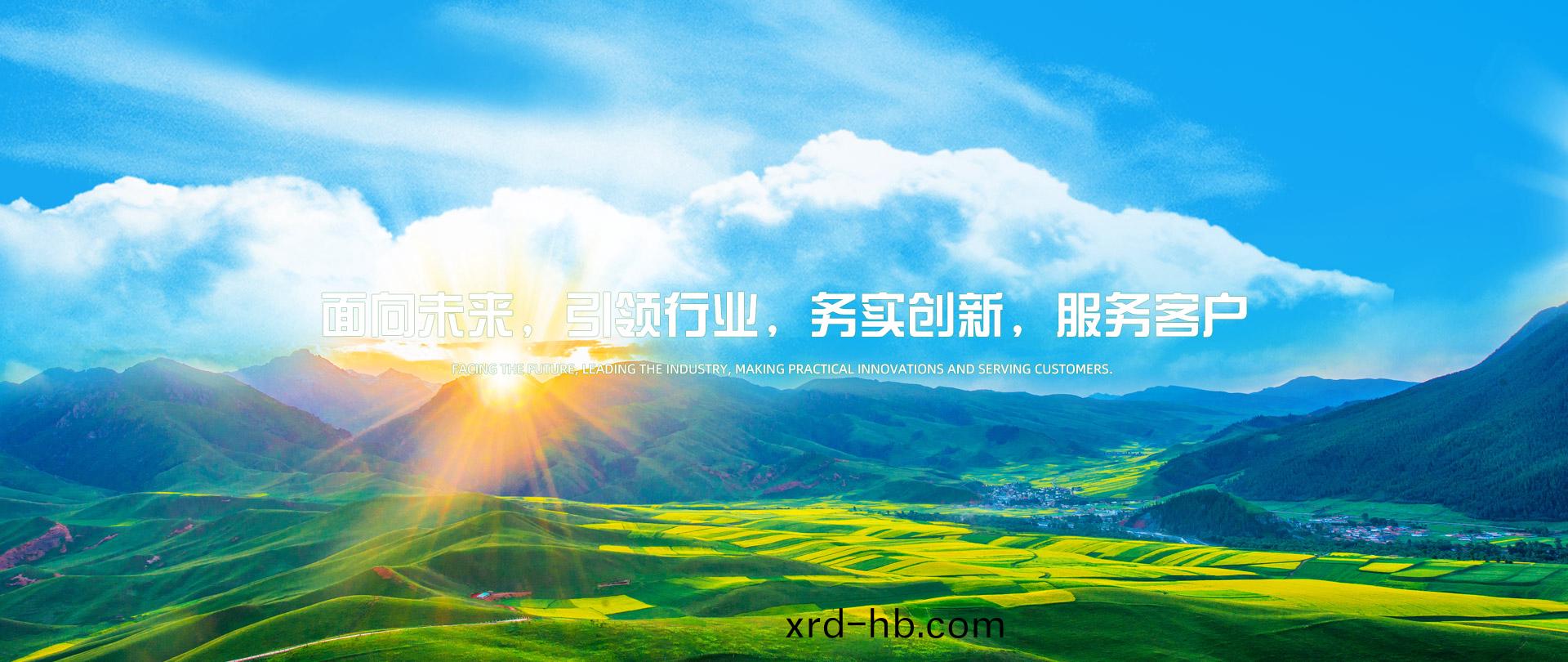 麵曏(xiang)未(wei)來引領行(xing)業