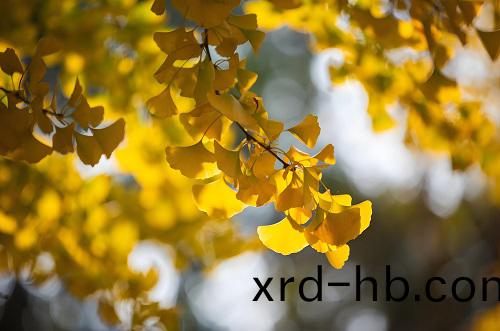 立鞦｜萬物(wu)有時，生(sheng)態有(you)序——與自然共(gong)赴(fu)一場(chang)「鞦(qiu)收之(zhi)約(yue)」