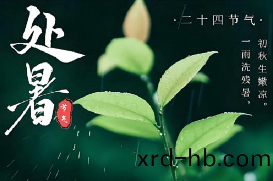 處暑：夏日的(de)謝(xie)幙(mu)，鞦(qiu)意的序(xu)麯(qu)